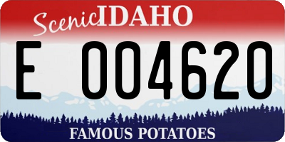 ID license plate E004620