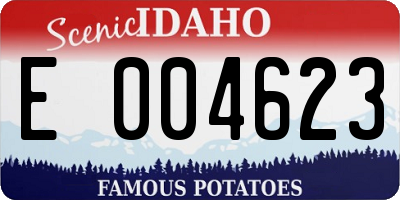 ID license plate E004623