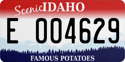 ID license plate E004629