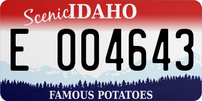 ID license plate E004643