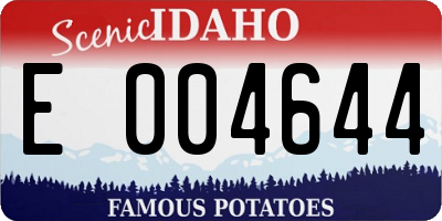 ID license plate E004644