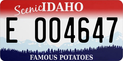 ID license plate E004647