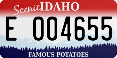 ID license plate E004655