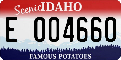 ID license plate E004660