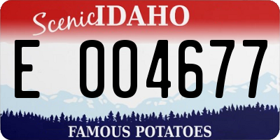 ID license plate E004677