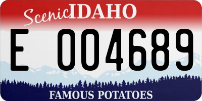 ID license plate E004689