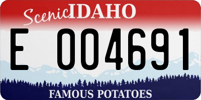 ID license plate E004691