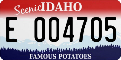 ID license plate E004705