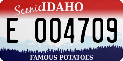 ID license plate E004709