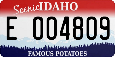 ID license plate E004809