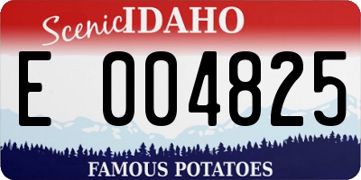 ID license plate E004825