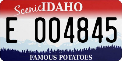 ID license plate E004845