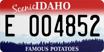 ID license plate E004852