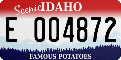 ID license plate E004872