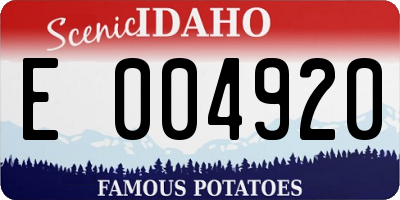 ID license plate E004920