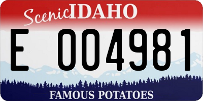 ID license plate E004981