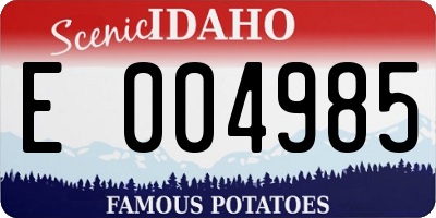 ID license plate E004985