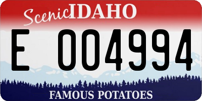 ID license plate E004994