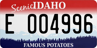 ID license plate E004996