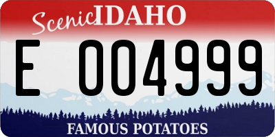 ID license plate E004999