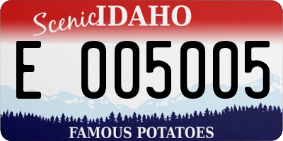 ID license plate E005005