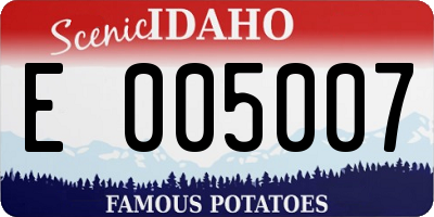 ID license plate E005007