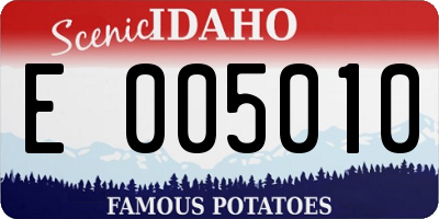 ID license plate E005010