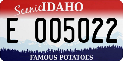 ID license plate E005022