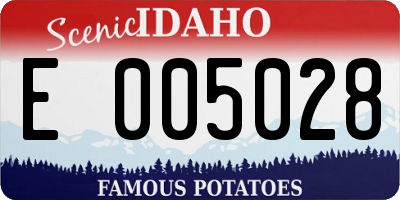 ID license plate E005028