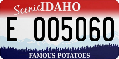 ID license plate E005060
