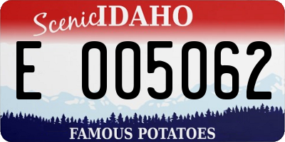 ID license plate E005062