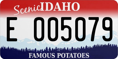 ID license plate E005079