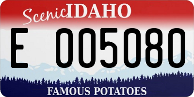 ID license plate E005080
