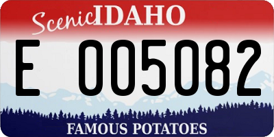 ID license plate E005082