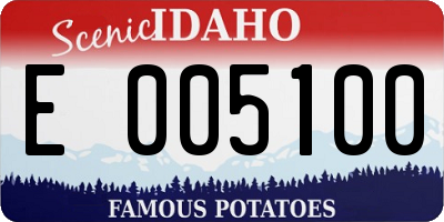 ID license plate E005100