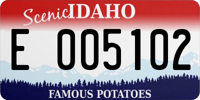 ID license plate E005102