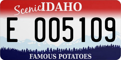 ID license plate E005109