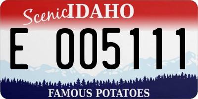 ID license plate E005111