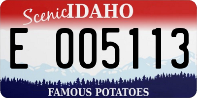 ID license plate E005113