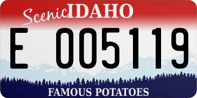 ID license plate E005119