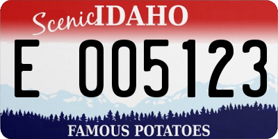 ID license plate E005123