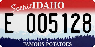 ID license plate E005128