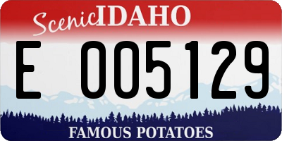 ID license plate E005129