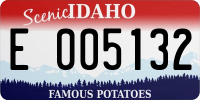 ID license plate E005132