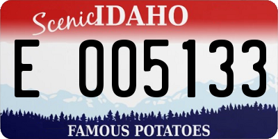 ID license plate E005133