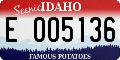 ID license plate E005136