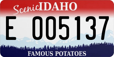 ID license plate E005137