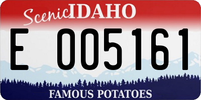 ID license plate E005161