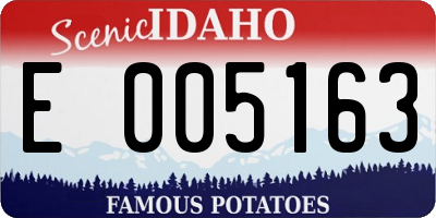 ID license plate E005163