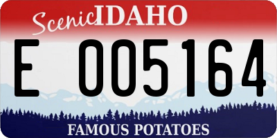 ID license plate E005164